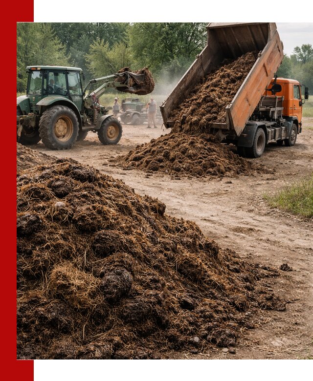 Доставка навоза самосвалами в Светлограде для сельхозпотребностей